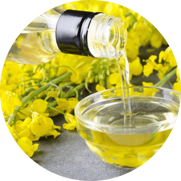 Canola oil (Rapeseed Oil)