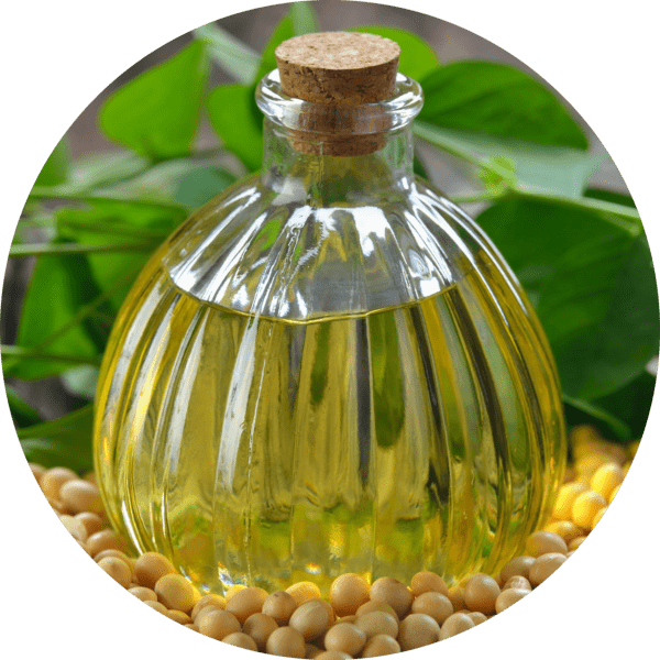 Refined Soybean Oil